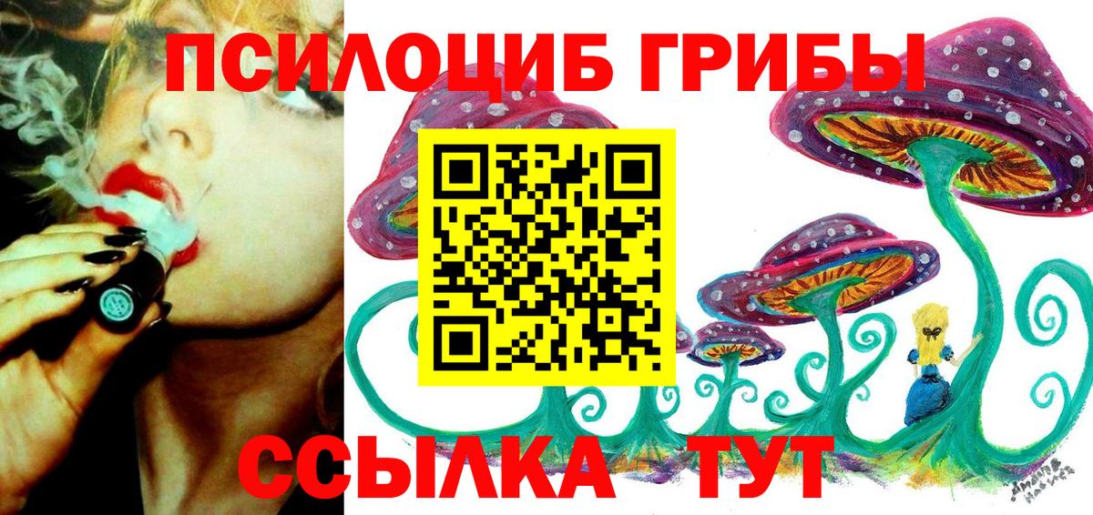 Галлюциногенные грибы прущие грибы Богородицк