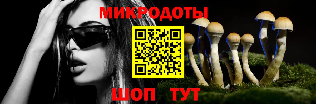 Галлюциногенные грибы Magic Shrooms  Галлюциногенные грибы GOLDEN TEACHER  Богородицк  Вход с VPN 